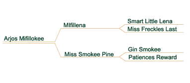 smokee