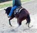 Click here for a slideshow of our older prospects!
